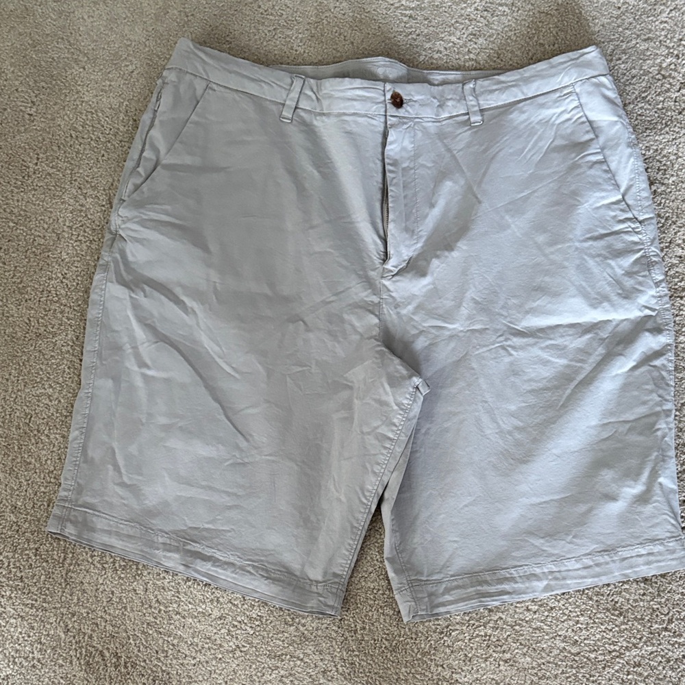 American Eagle Outfitters Light Gray Flat Front Shorts